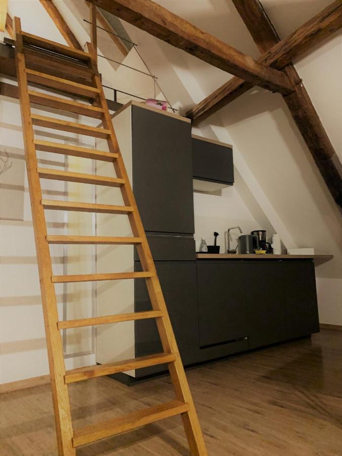Lemperdenkmal Muenster Apartamento Exterior foto
