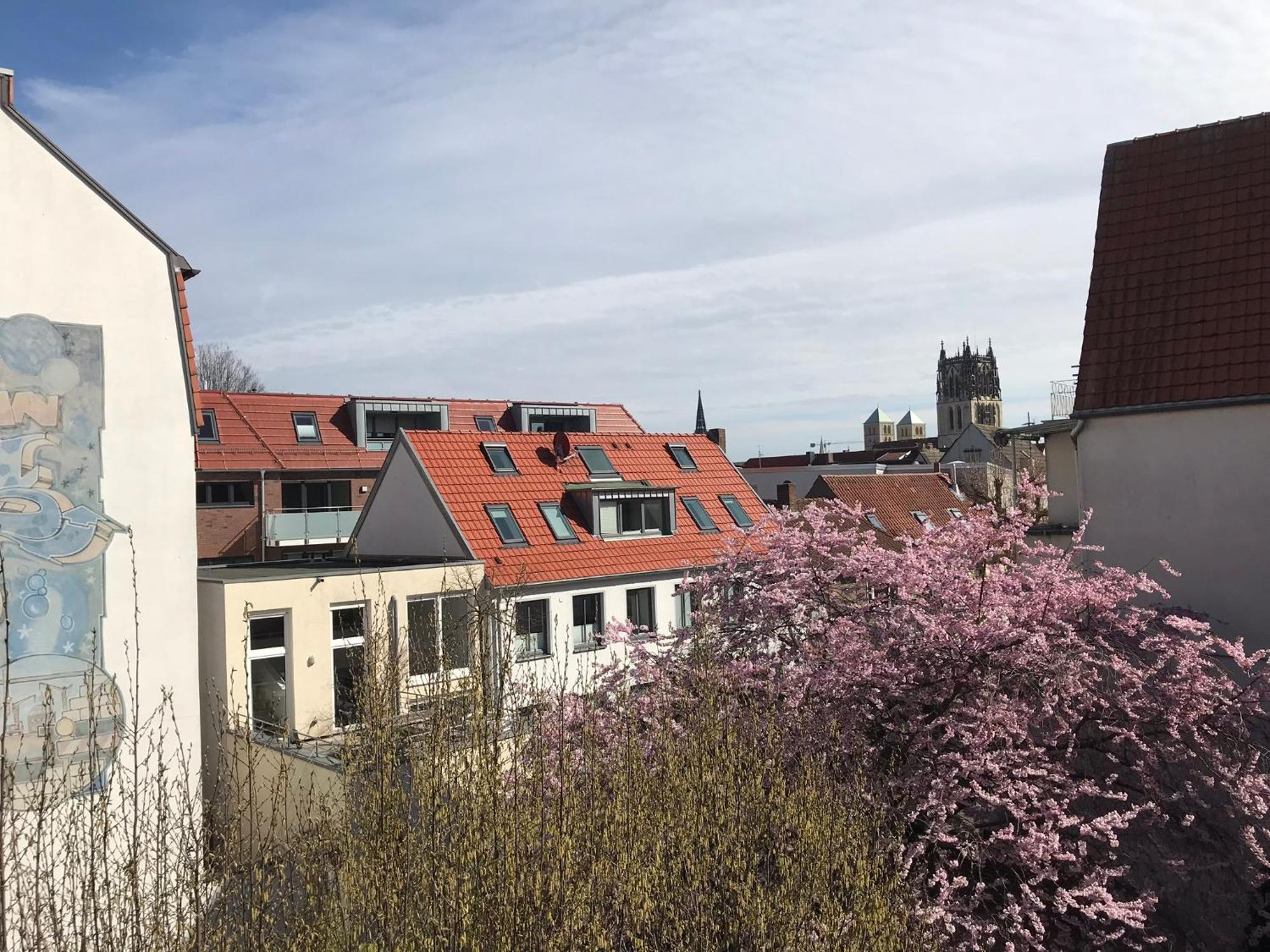 Lemperdenkmal Muenster Apartamento Exterior foto
